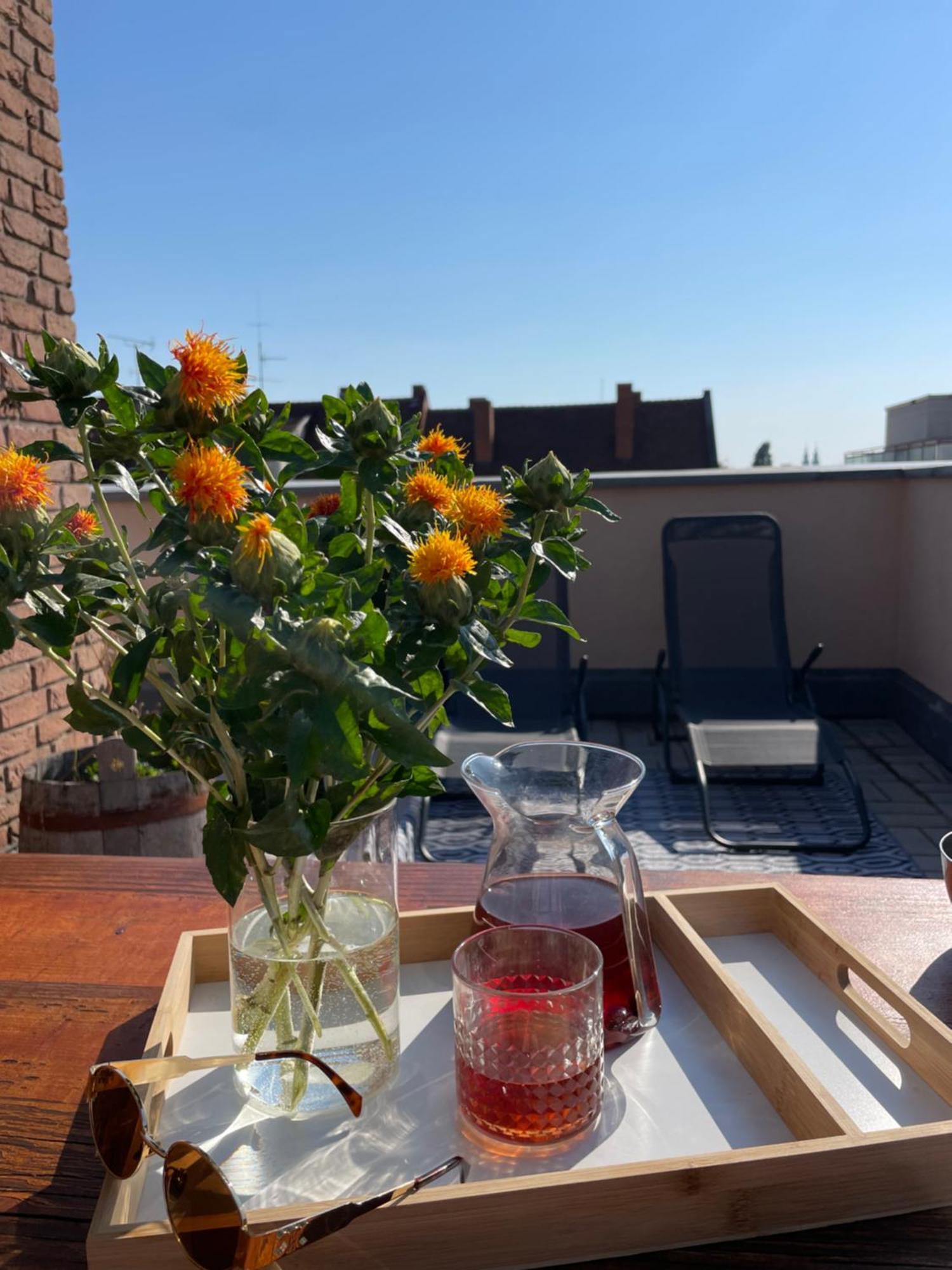 Apartment Designer Penthouse In St Johannes, Toller Ausblick Ueber Den Daechern Nuernbergs